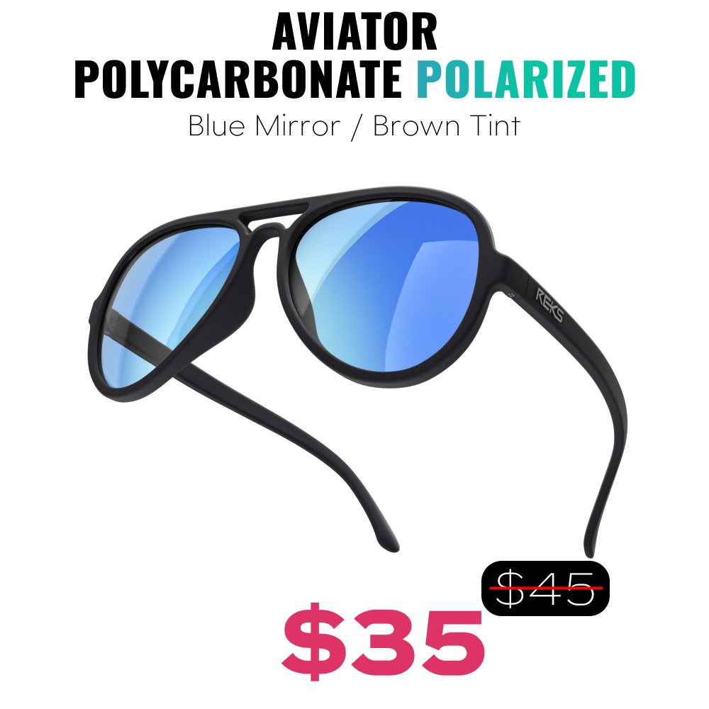 Aviator Polarized Polycarbonate Sunglasses